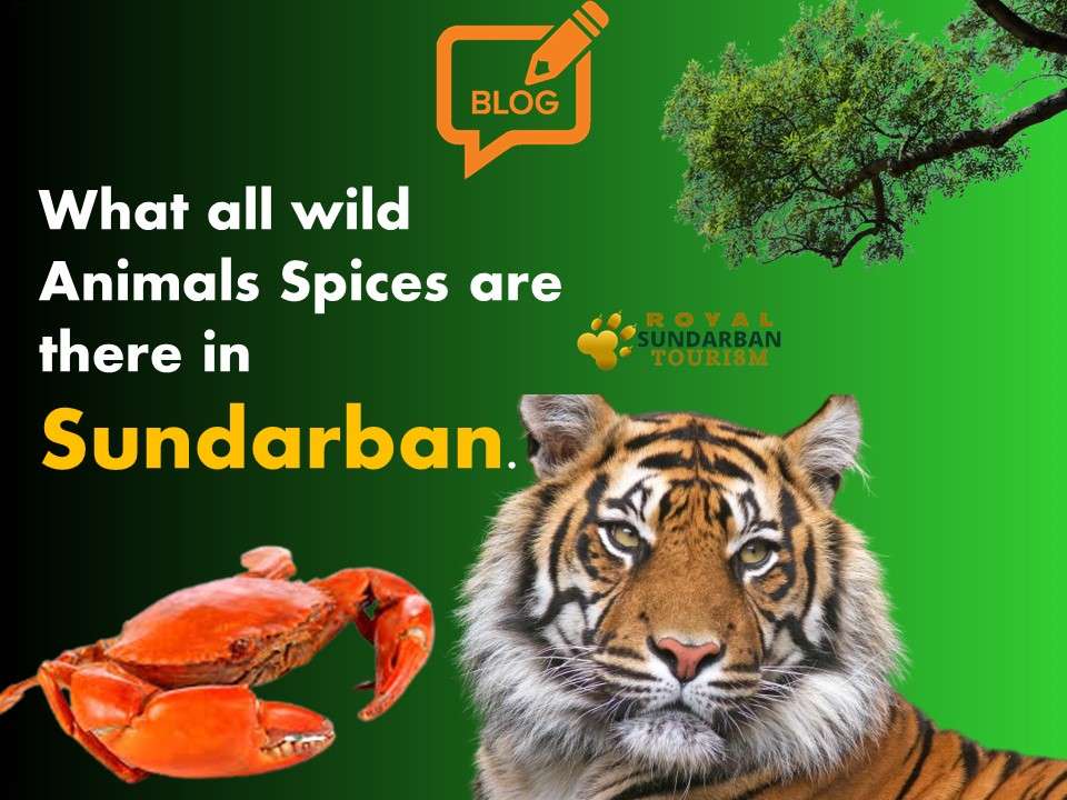 What all wild Animals Spices are there in Sundarban