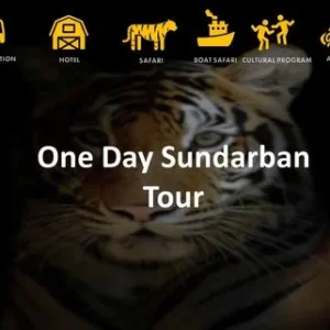 One Day Sundarban Tour