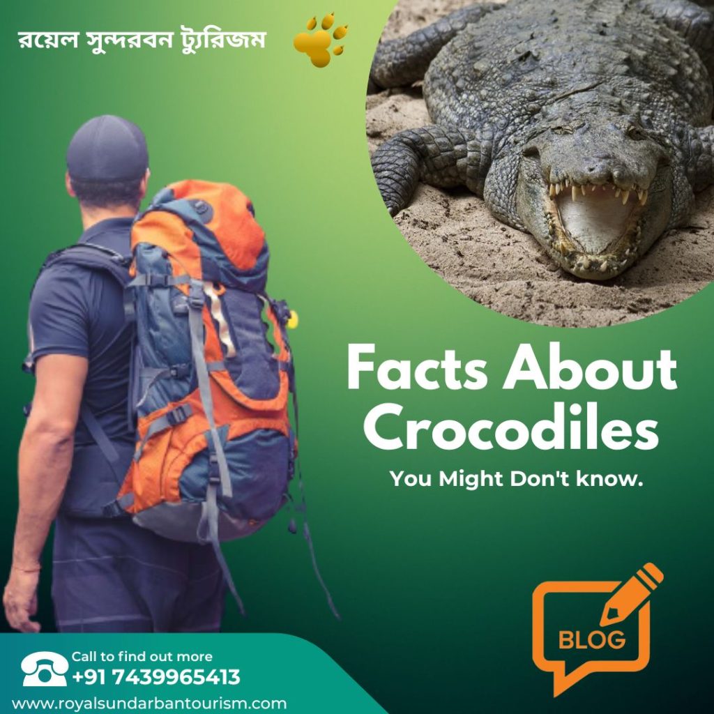 Facts About Crocodiles