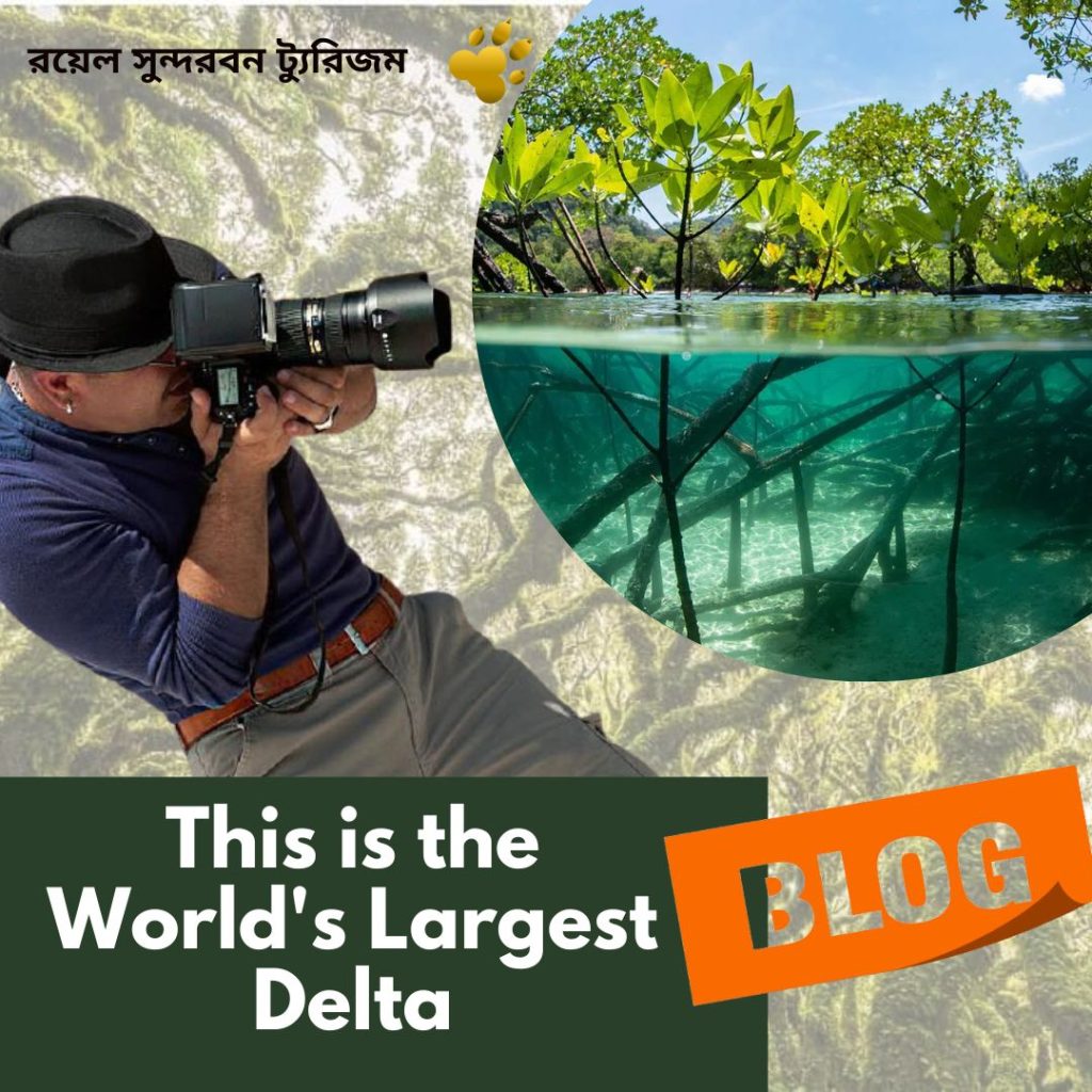 This is the World's Largest Delta