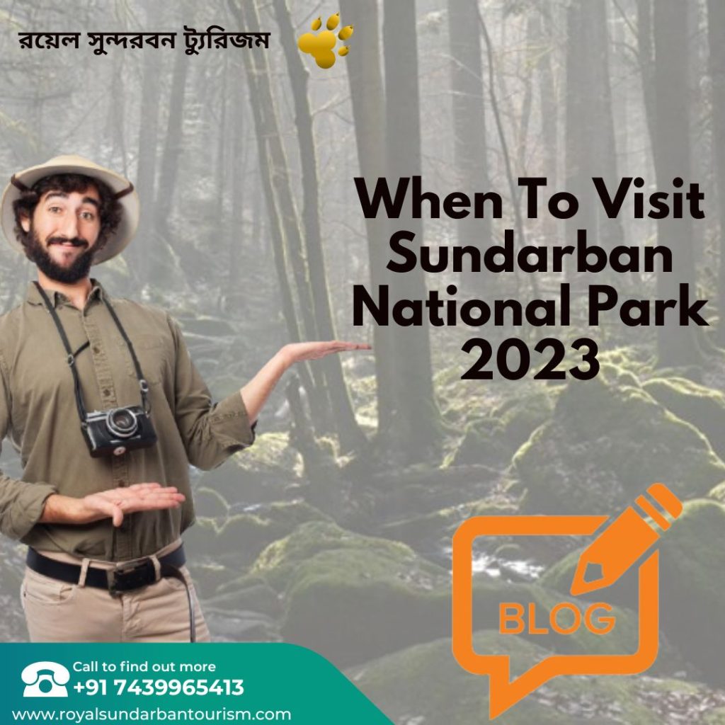 When To Visit Sundarban National Park 2023