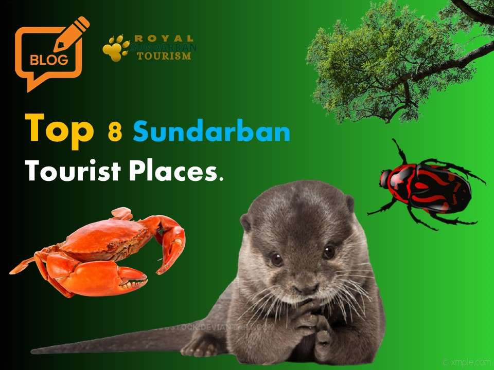 Sundarban Tourist Places