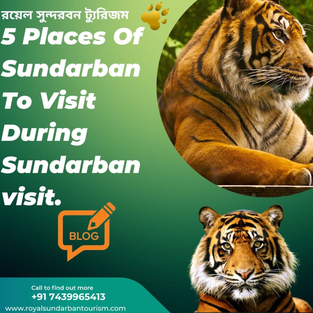 5 Places Of Sundarban To Visit During Sundarban visit