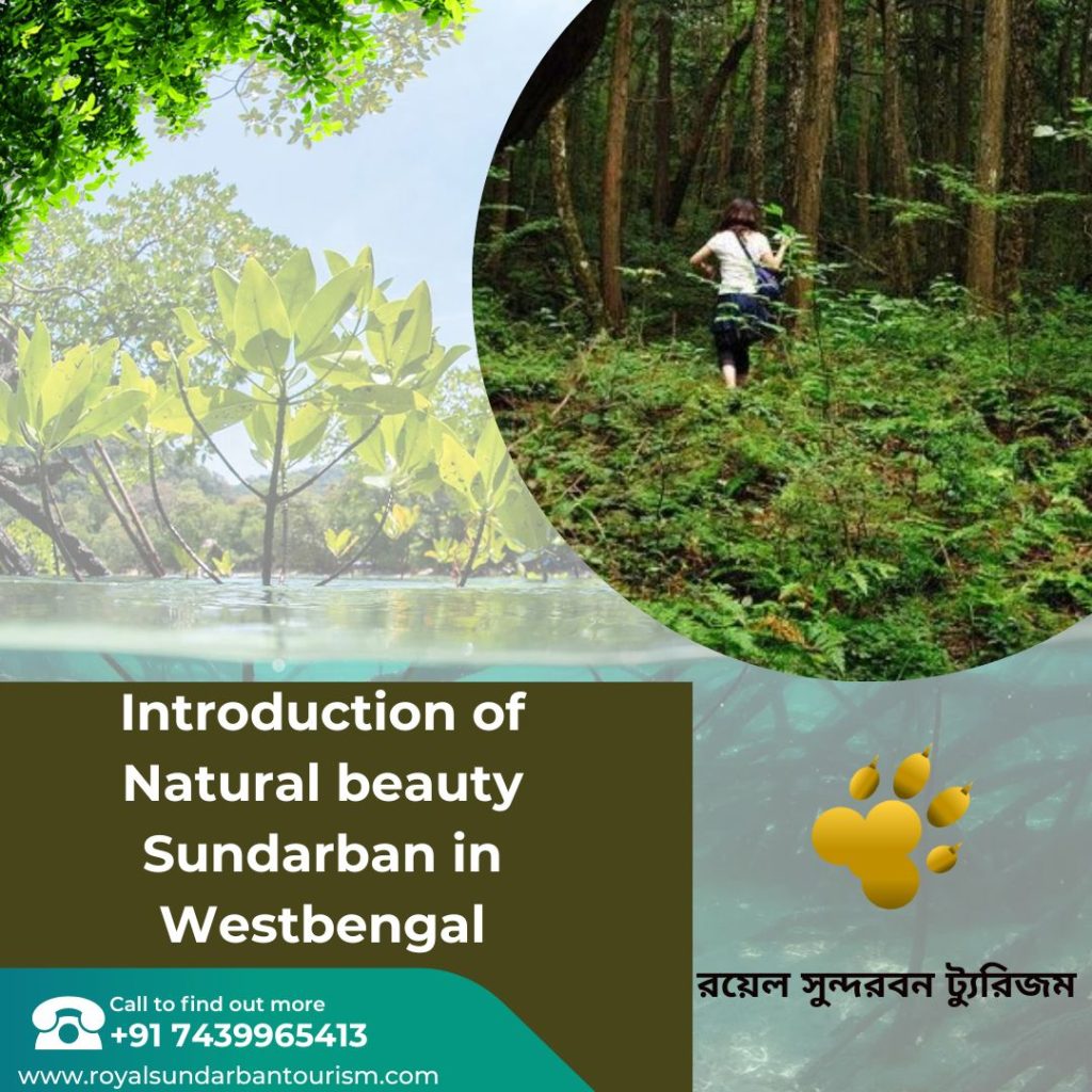 Introduction of Natural beauty Sundarban in West Bengal.