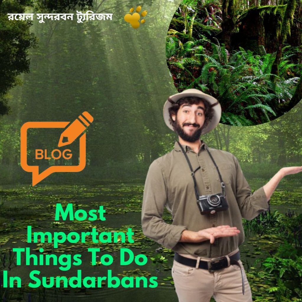 Most Important Things To Do In Sundarbans