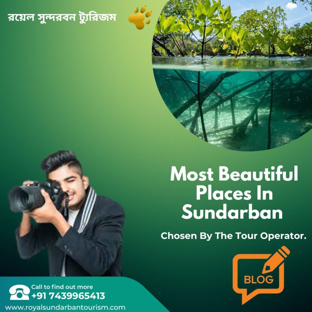 Most Beautiful Places In Sundarban