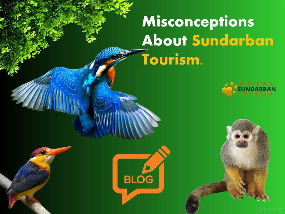 Misconceptions About Sundarban Tourism