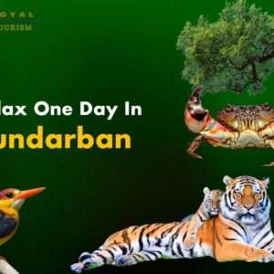 one Day Sundarban Tour