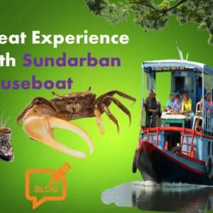 3 Day 2 Night Sundarban Boat Tour