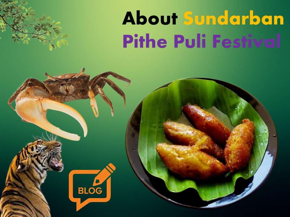 Sundarban Pithe Puli Festival