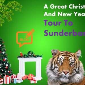 1 Night 2 Days Sundarban Tour
