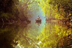Sundarban Sightseeing