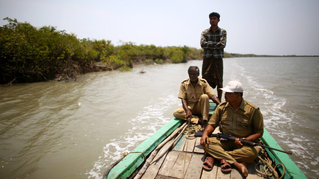 Sundarban Travel