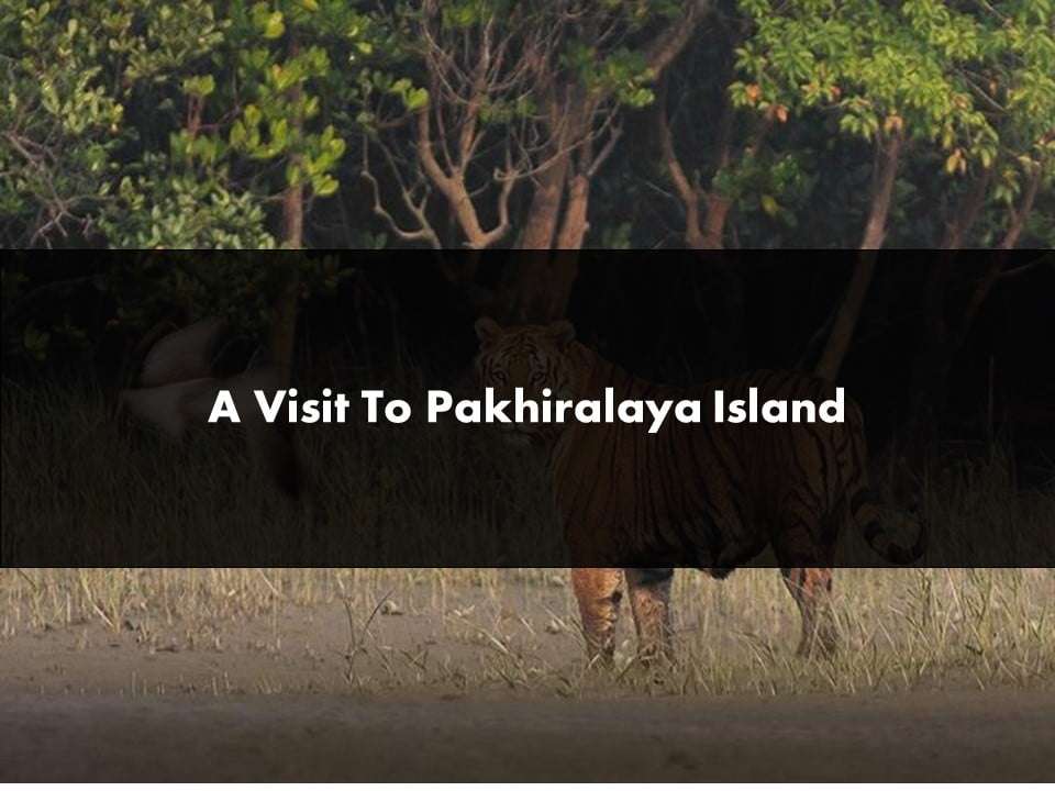 A Visit To Pakhiralaya Island