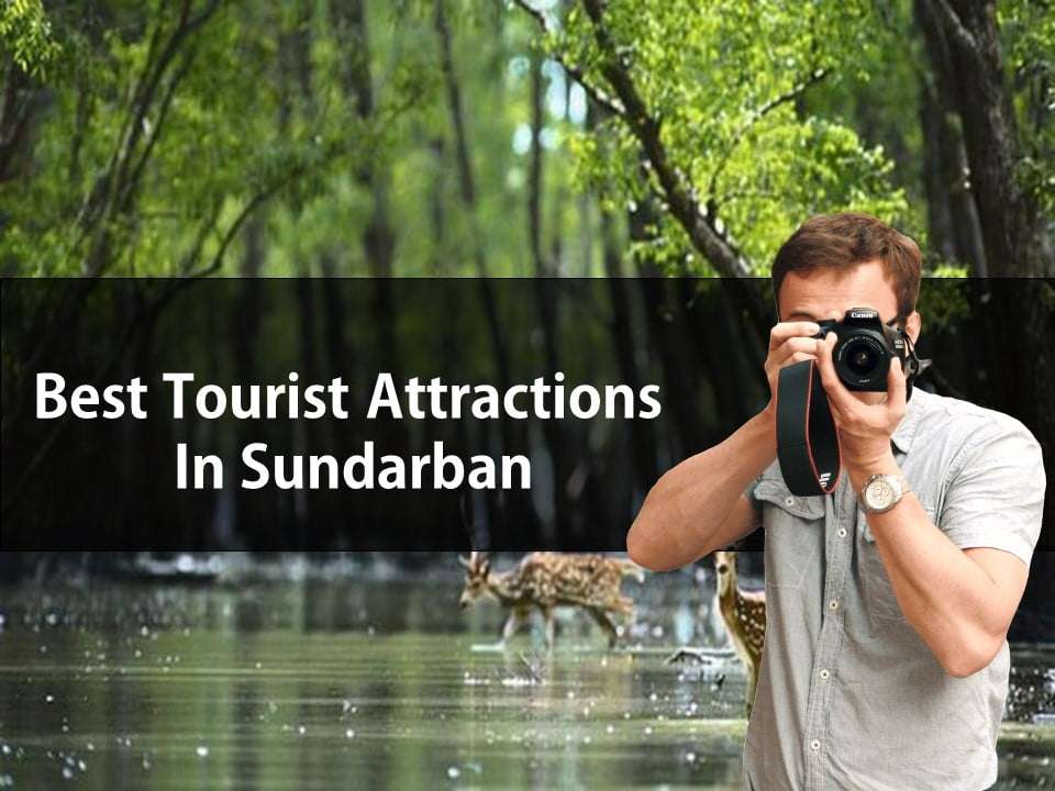 Tourist Attractions in Sundarban