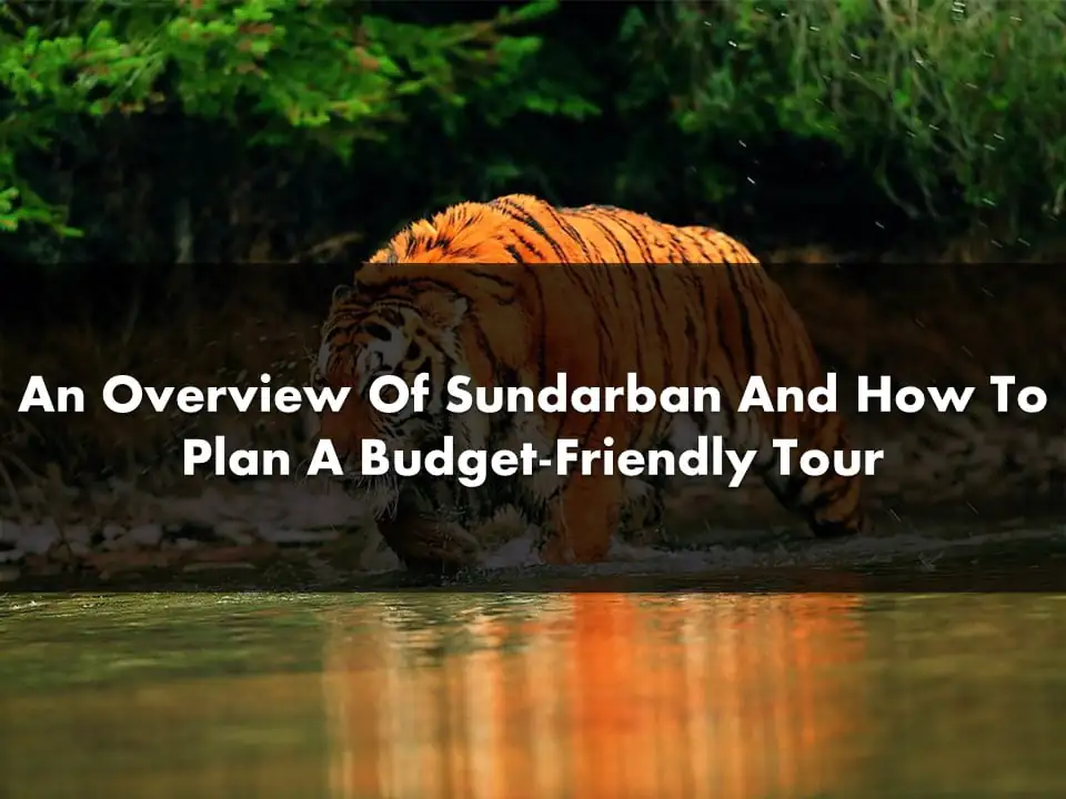 Overview Of Sundarban