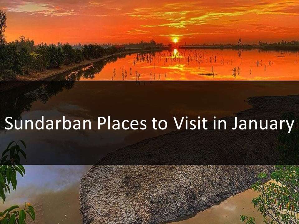 Sundarban Places to Visit in January