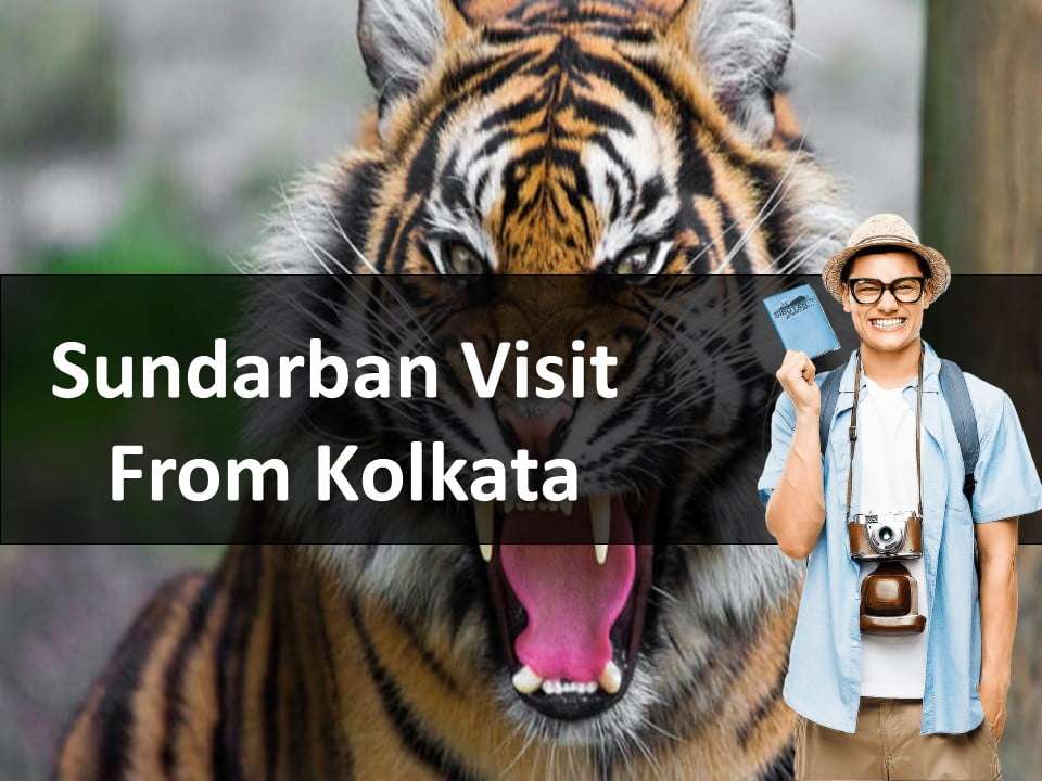 Sundarban Visit from Kolkata