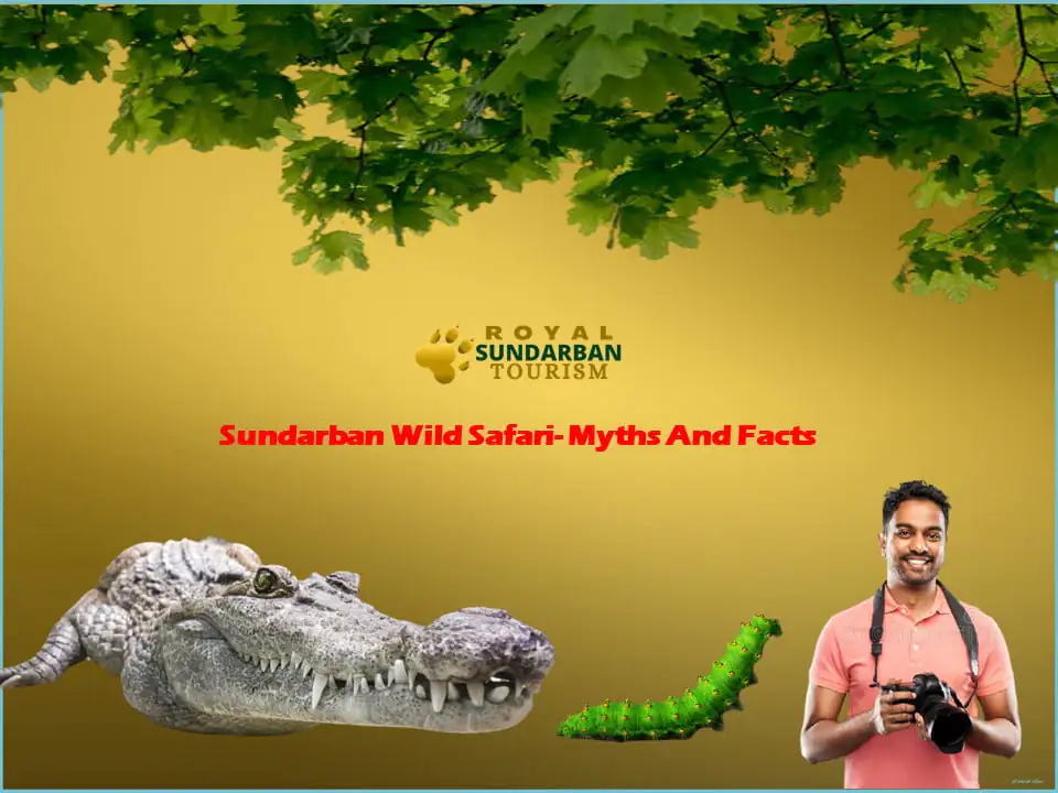 Myths and facts about sundarban