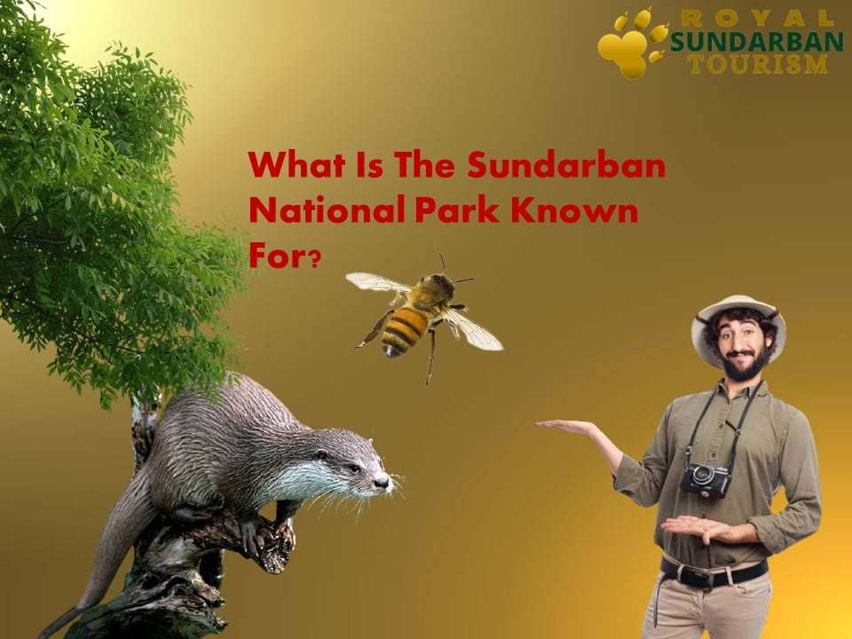 What is the Sundarban National Park known for