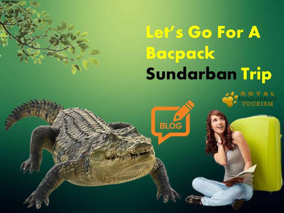 Backpack Sundarban Trip