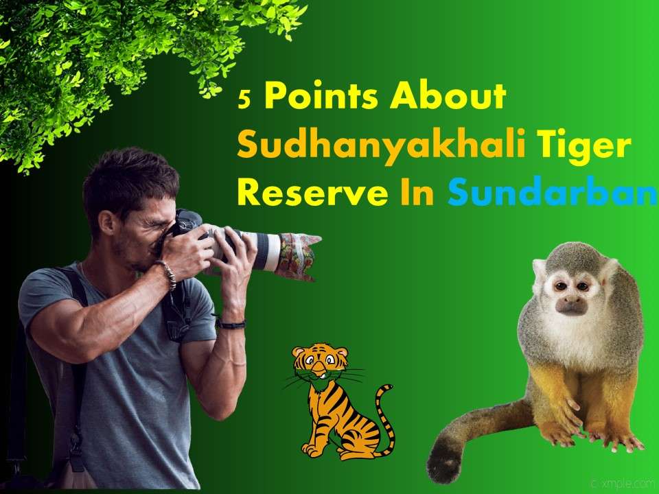 Sudhanyakhali Tiger Reserve In Sundarban