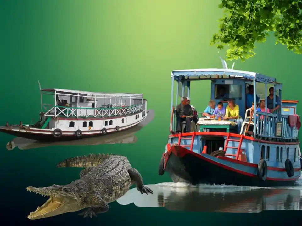 Sundarban Boat Tour