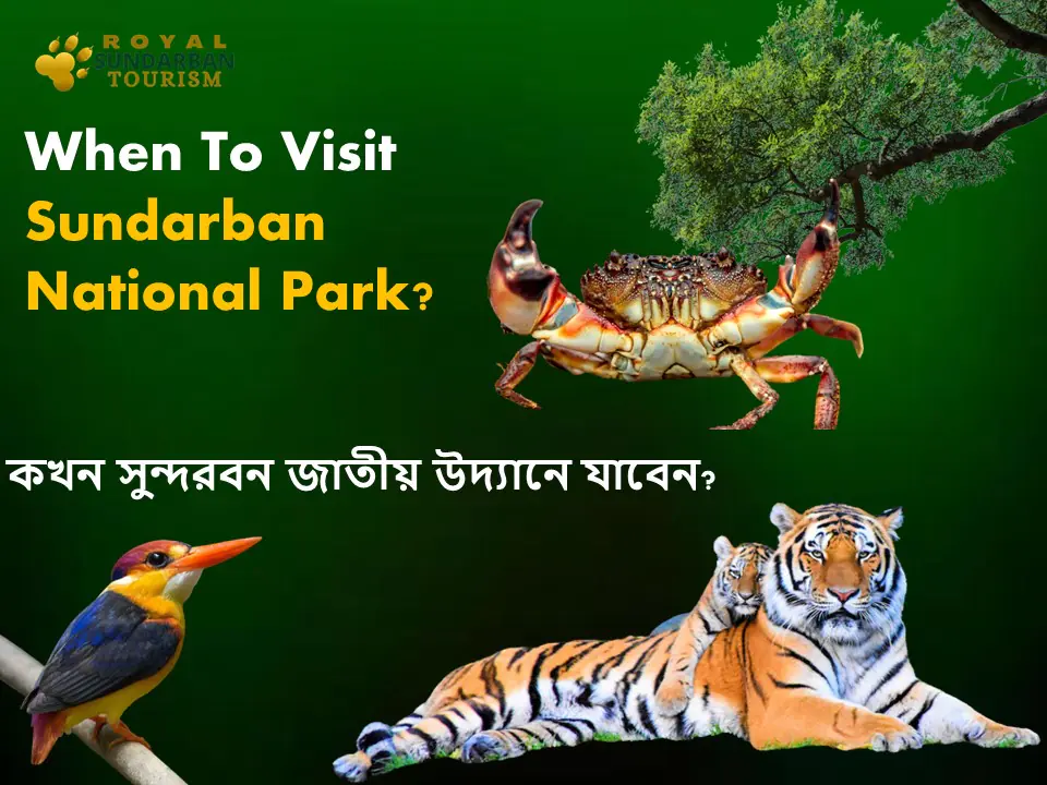 When To Visit Sundarban National Park
