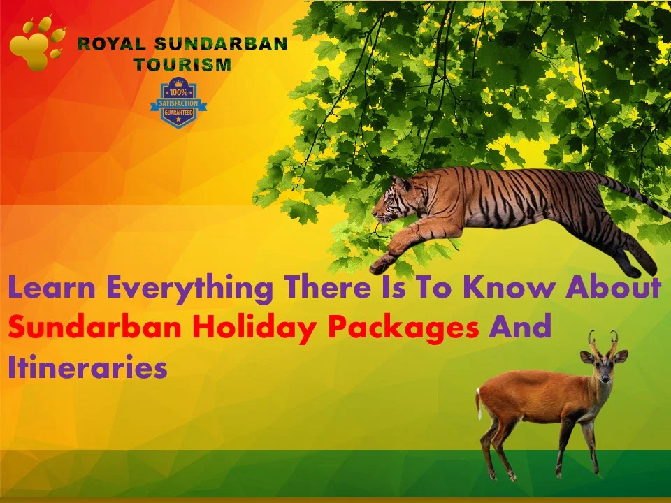 About Sundarban Holiday Packages