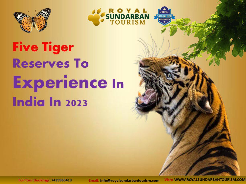 Five Tiger Reserves To Experience In India In 2023