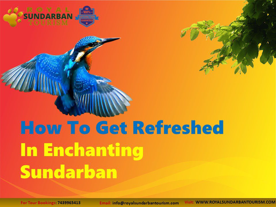 How To Get Refreshed In Enchanting Sundarban