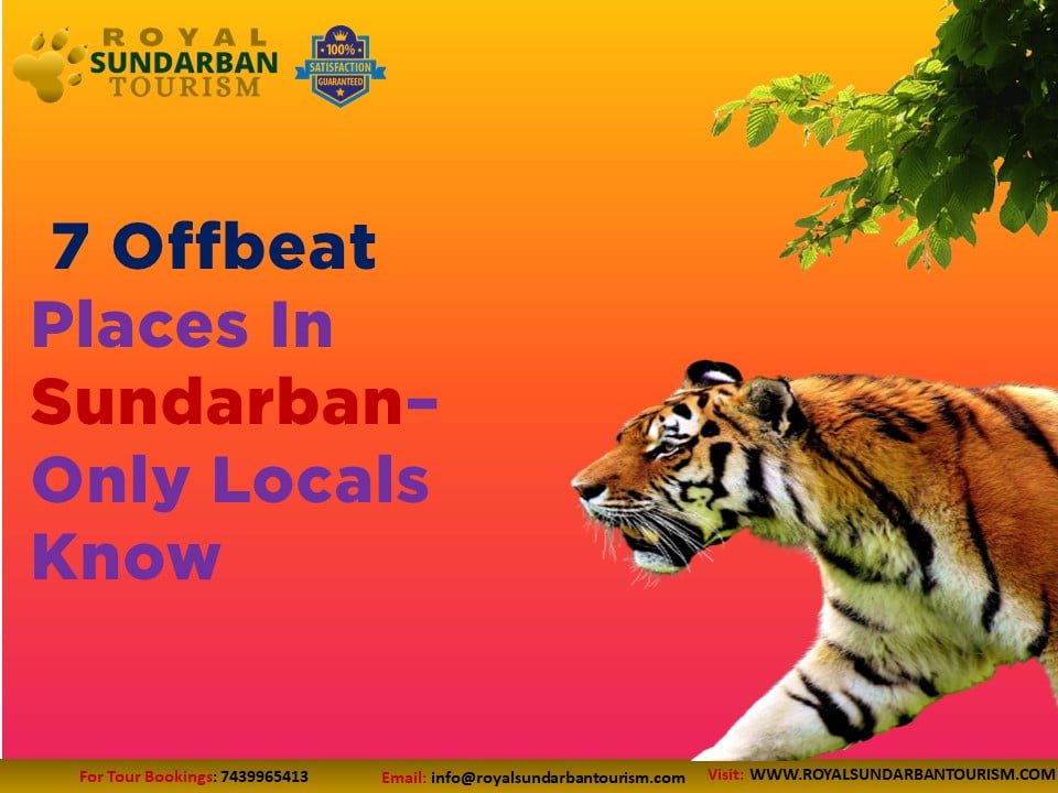 Offbeat Places In Sundarban