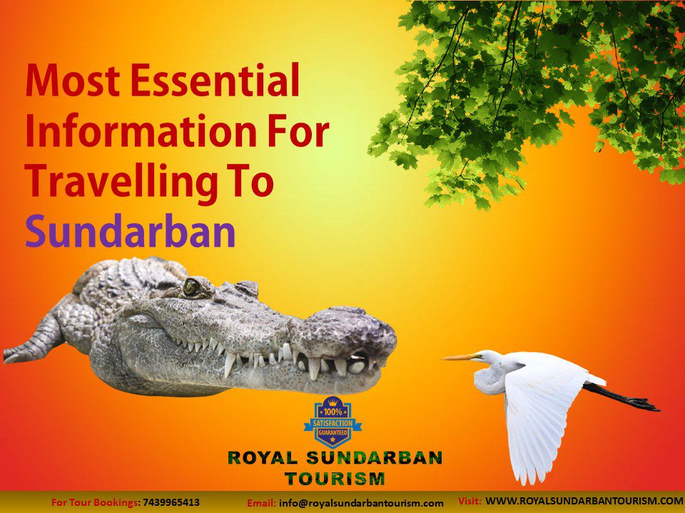 Information For Travelling To Sundarban