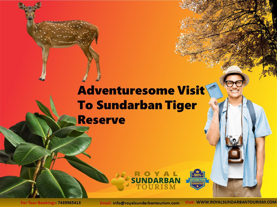 Adventuresome Visit To Sundarban Tiger Reserve