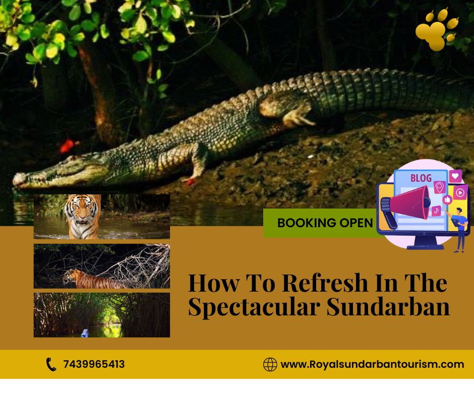 How To Refresh In The Spectacular Sundarban