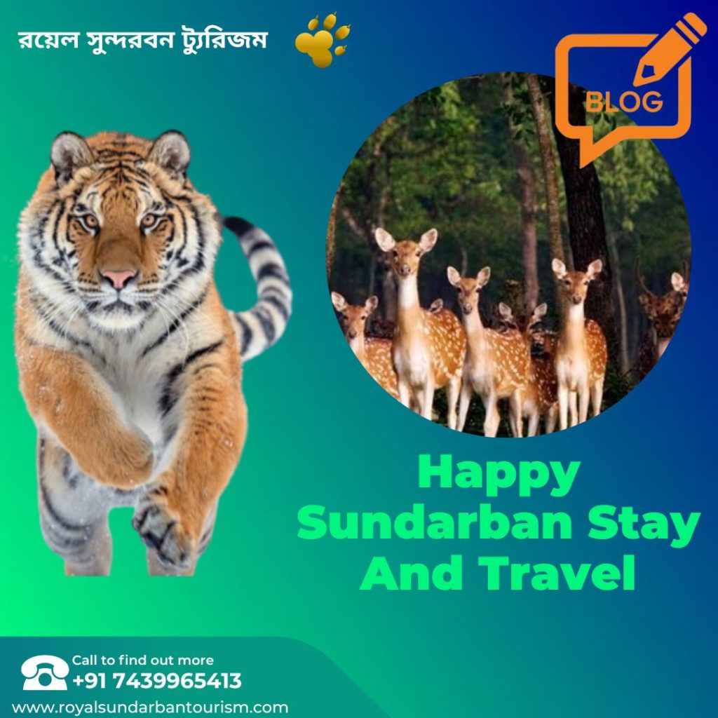 Happy Sundarban Stay And Travel