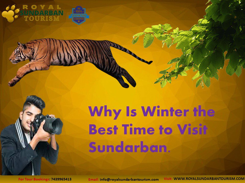 Why Is Winter the Best Time to Visit Sundarban