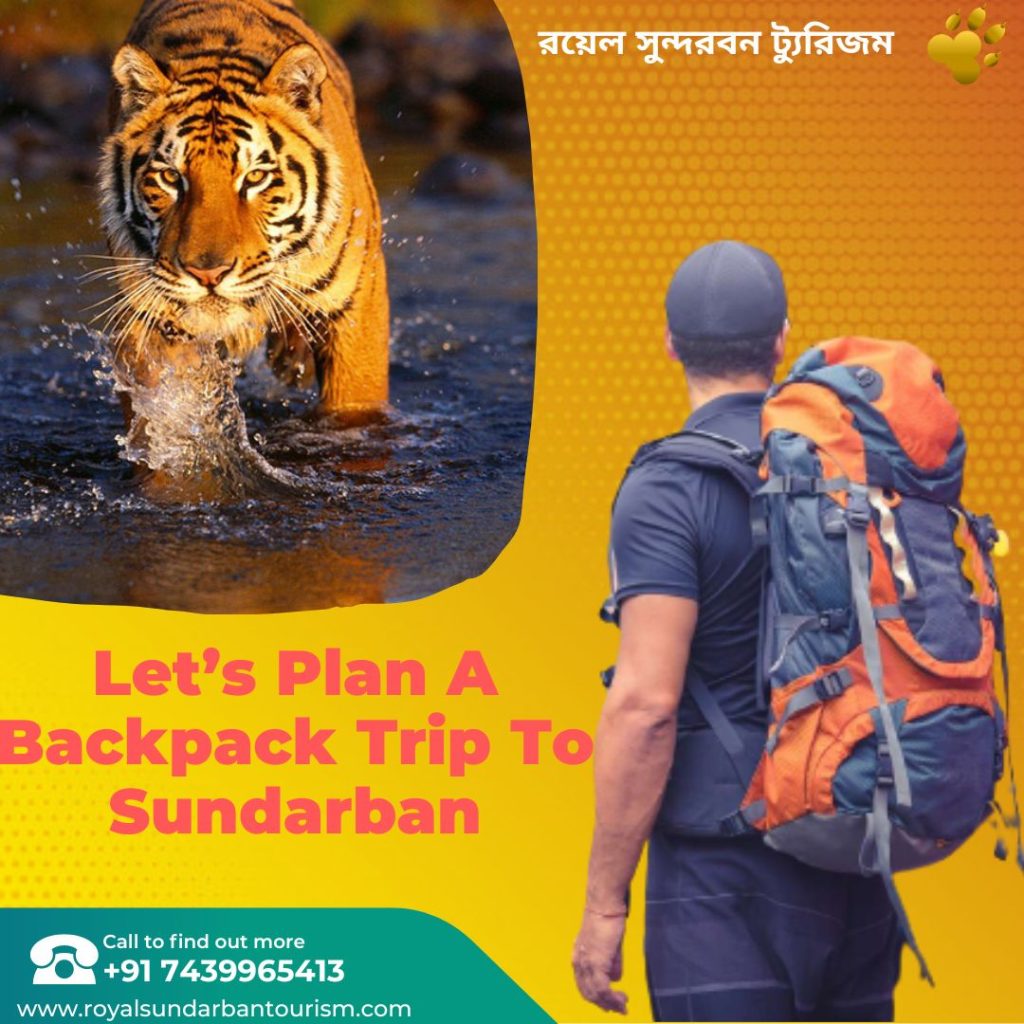 Backpack Trip To Sundarban