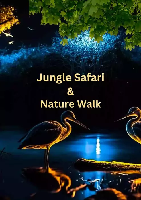 Sundarban Jungle safari