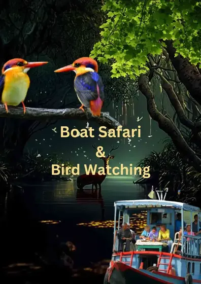Sundarban bird watching