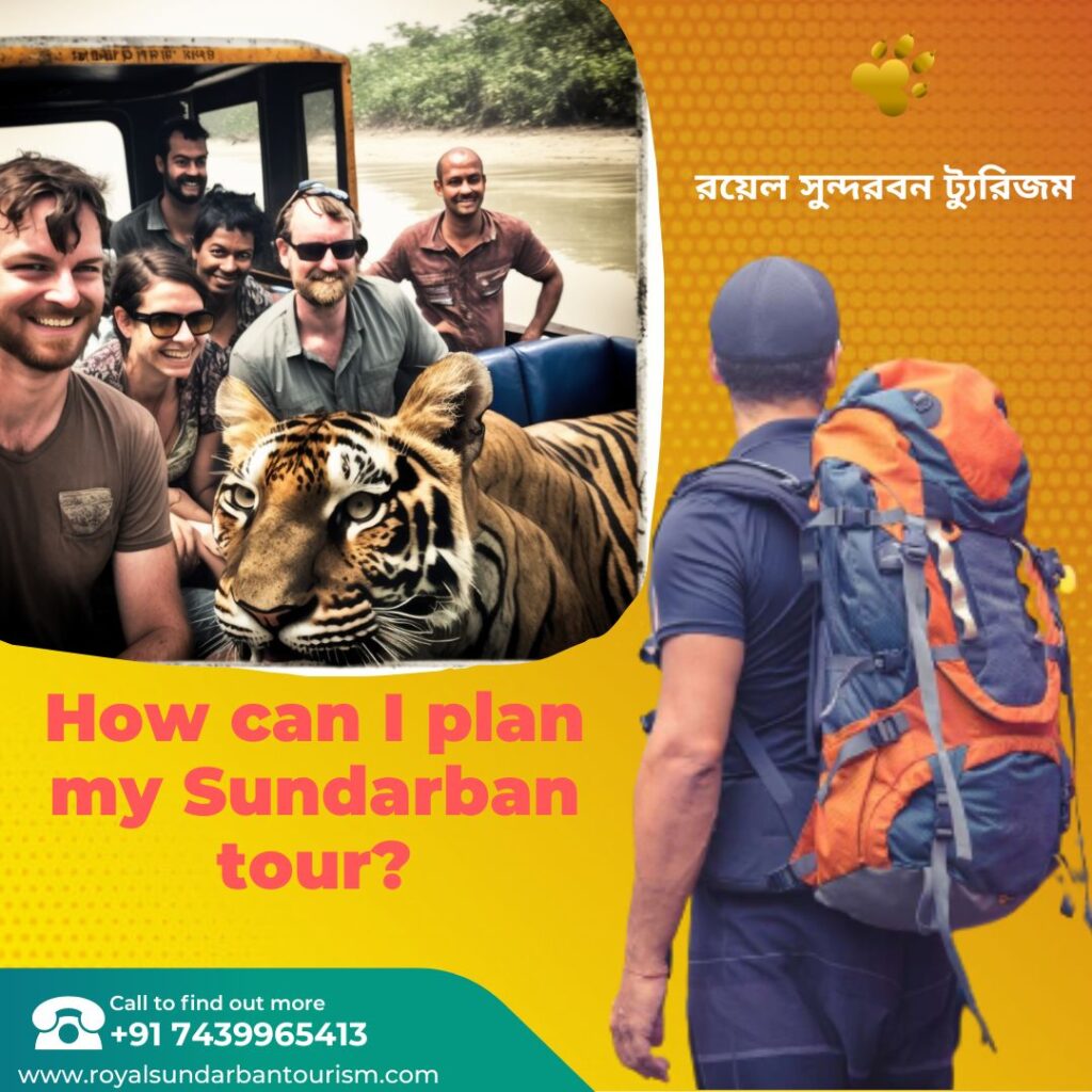 How can I plan my Sundarban tour