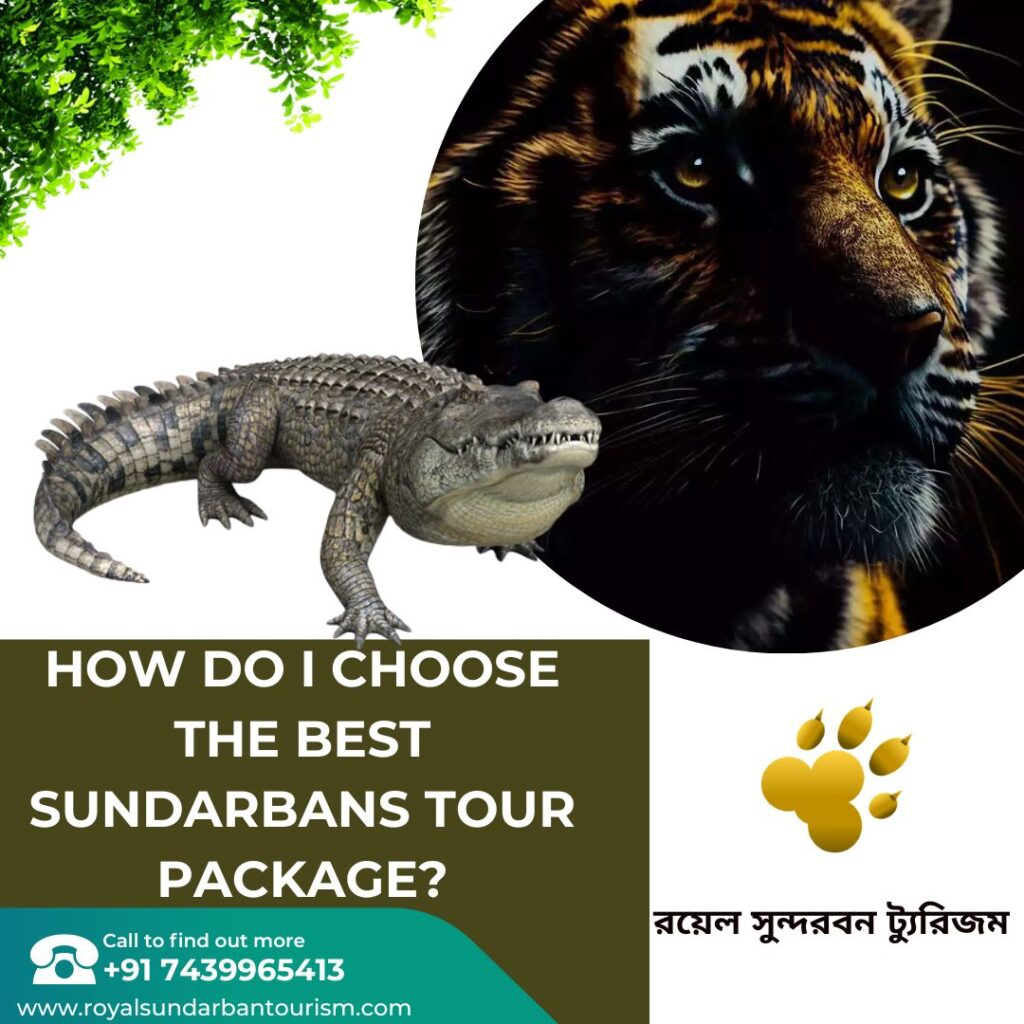 How do I choose the best Sundarbans tour package