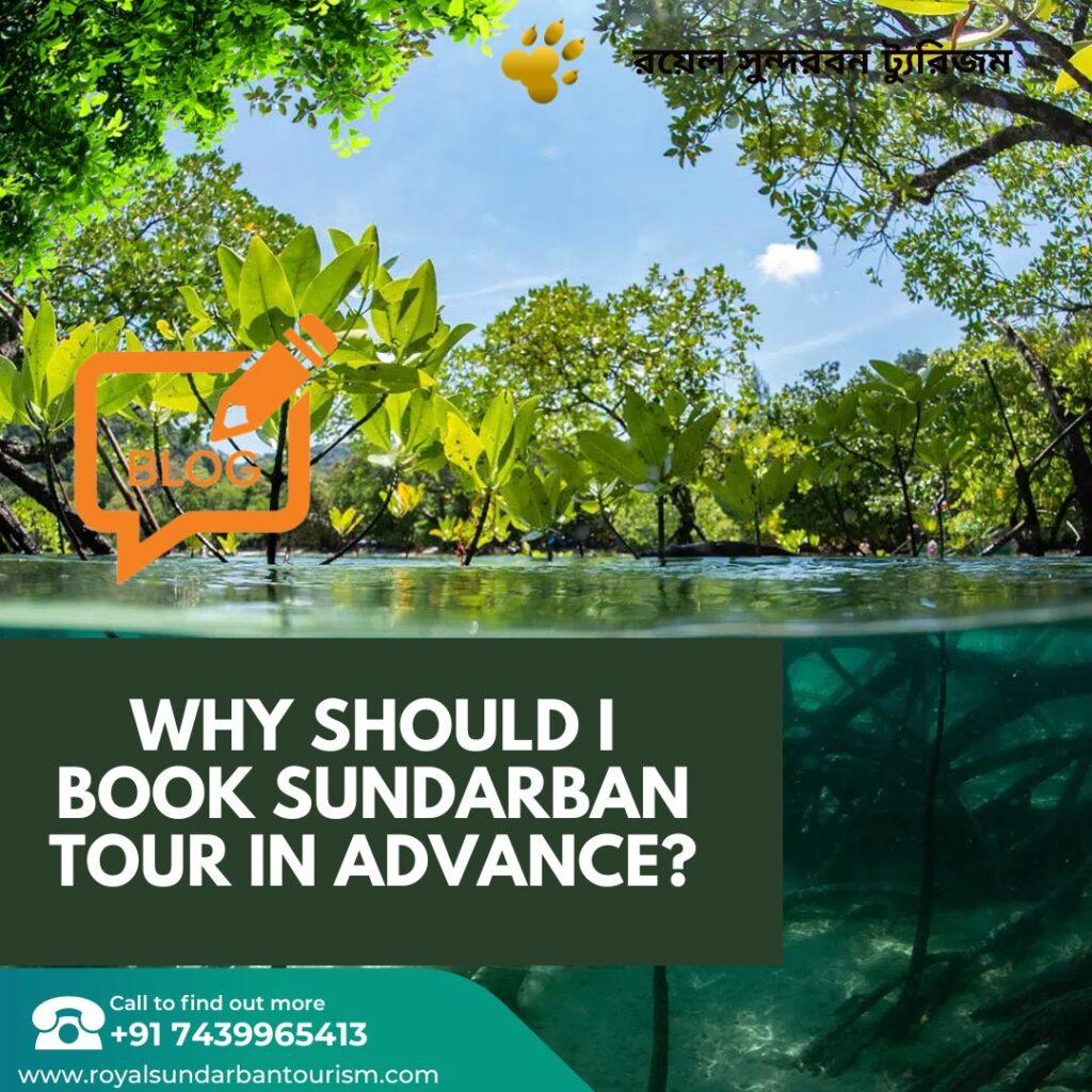 Why should I book sundarban Tour in Advance
