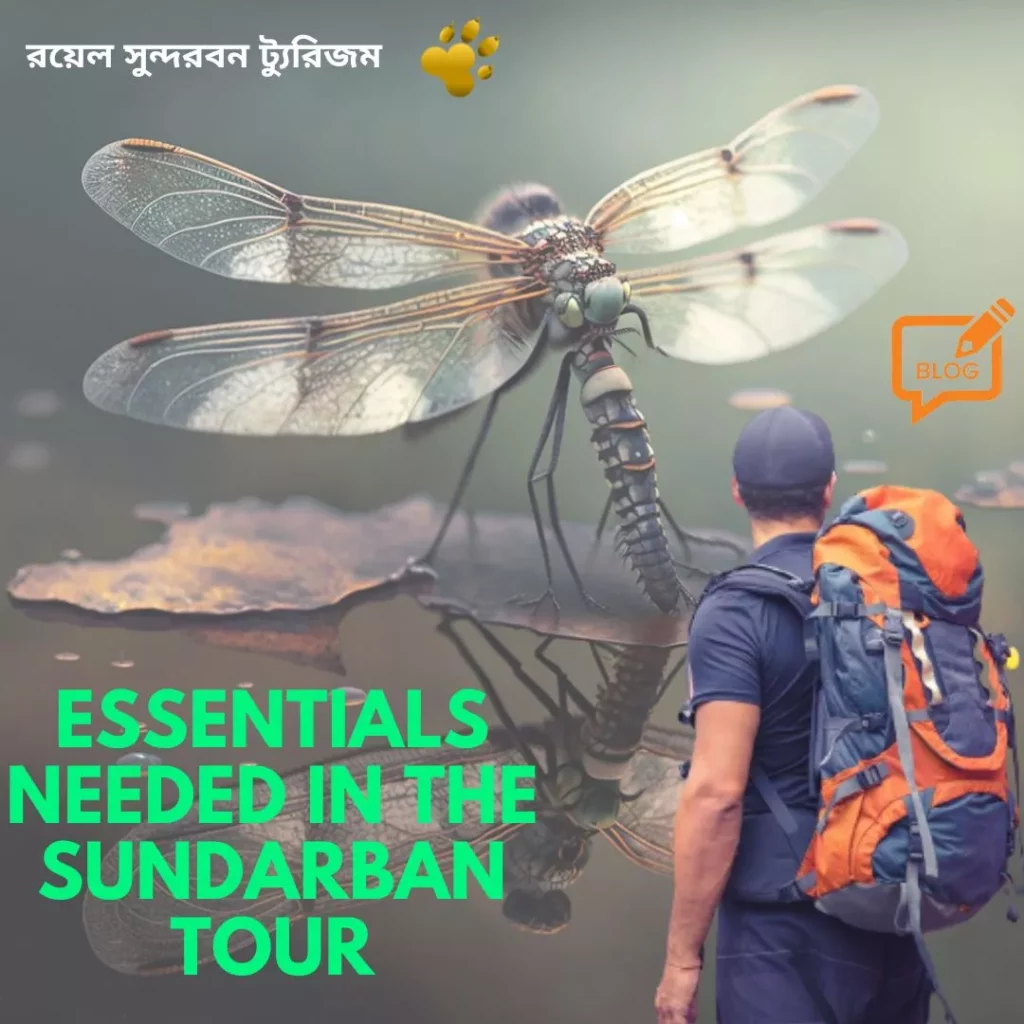 essentials needed in The Sundarban tour