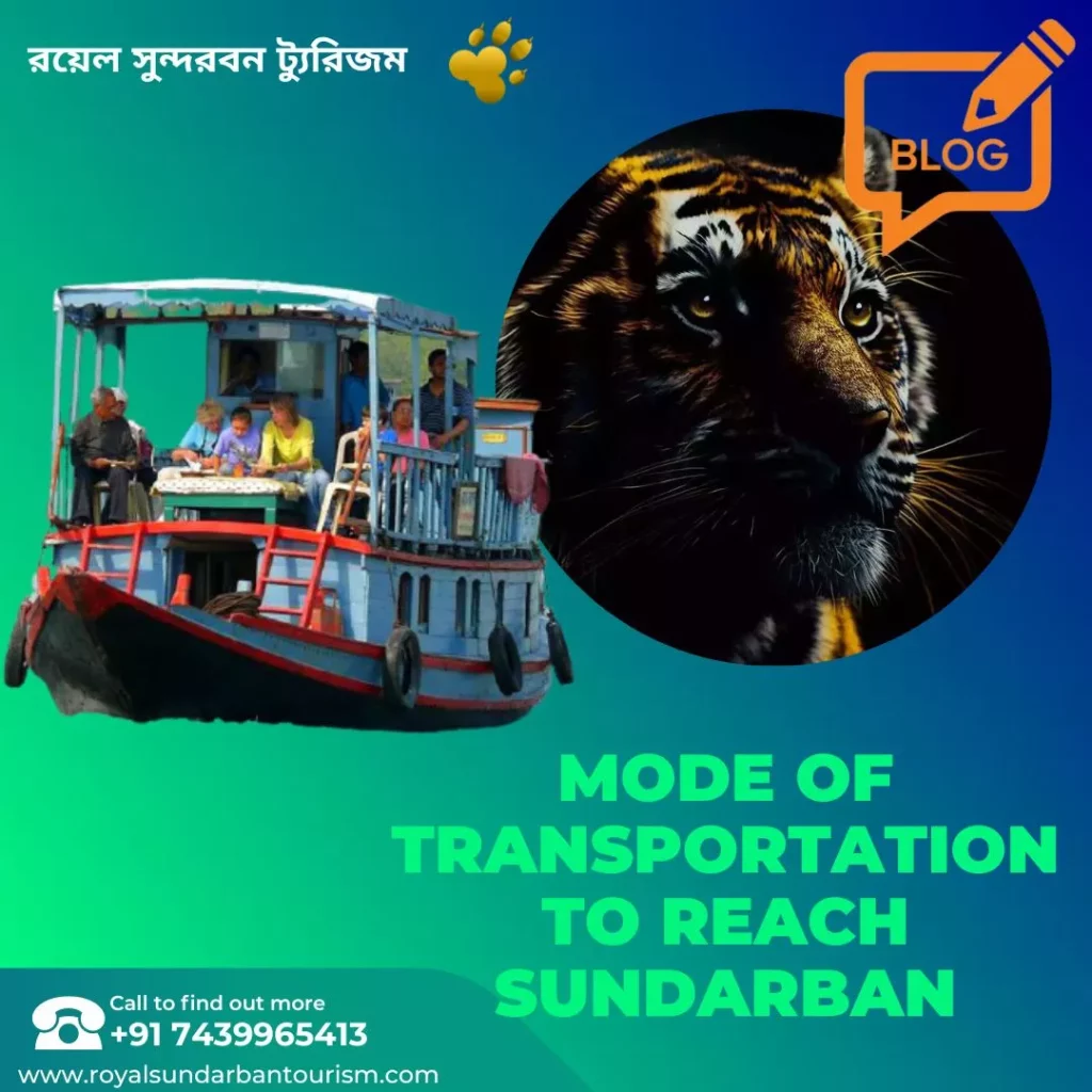mode of transportation to reach Sundarban