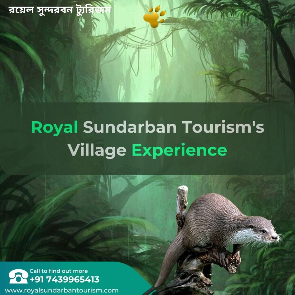 Royal Sundarban Tourism's Village Experience