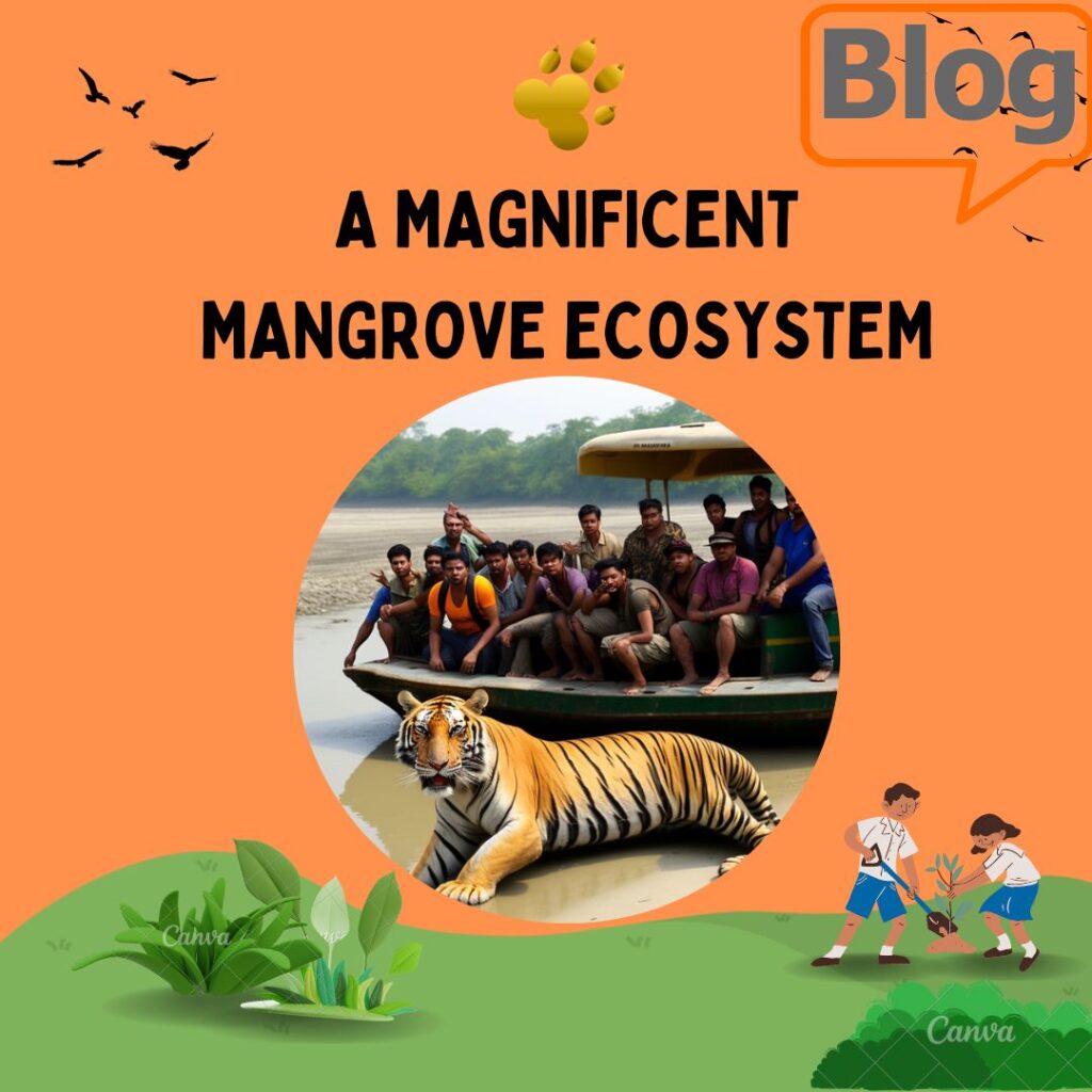 A Magnificent Mangrove Ecosystem