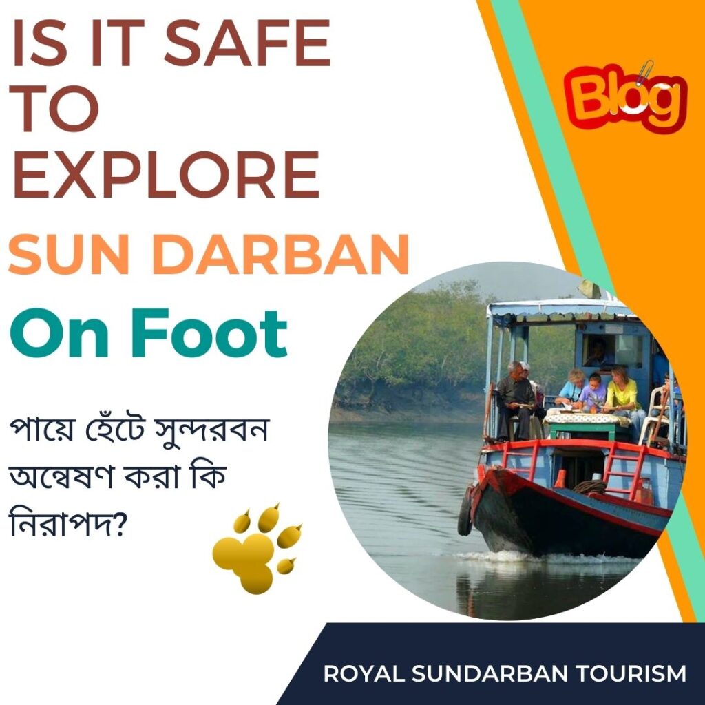 Is It Safe to Explore Sundarbans
