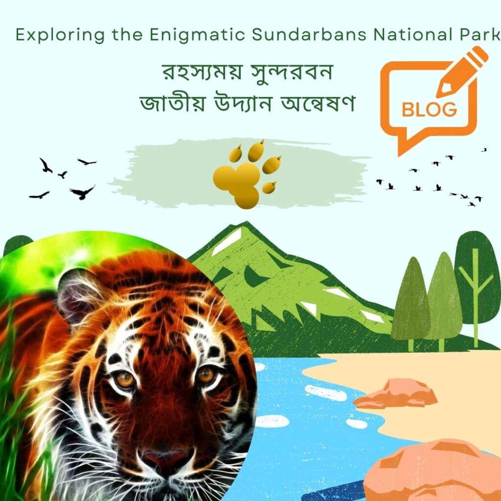 Exploring the Enigmatic Sundarbans National Park