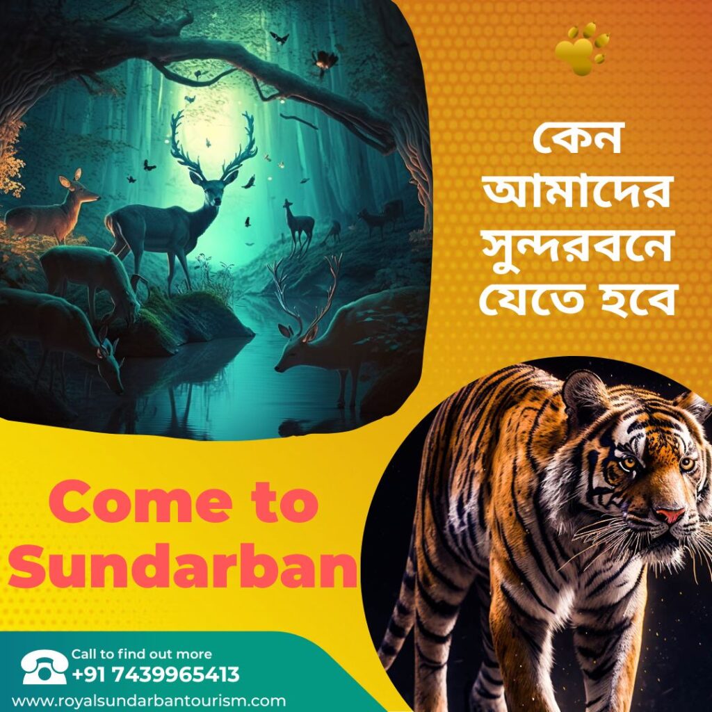 Why We Must Visit Sundarbans